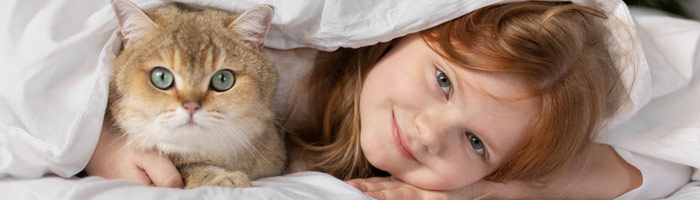 Pampered pet - cat and girl under a sheet together